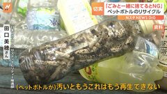 「リサイクルボックスの中の3割はごみ」ペットボトル→ペットボトルのリサイクルはまだ約2割　たばこなどの「ごみ」が阻む| TBS CROSS DIG with Bloomberg