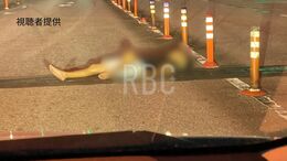 【ドラレコ映像】法定速度60キロの国道上で熟睡　路上寝の男性を急ブレーキ間一髪で回避　運転手「まさか人間とは」|TBS NEWS DIG