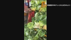 中国 白菜を発がん性指摘のホルムアルデヒドに浸したか「鮮度保つため」|TBS NEWS DIG