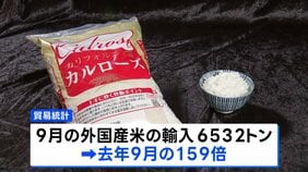 外国産米の輸入が急増 9月は去年の159倍 国産米の価格高騰が続き“割安”に|TBS NEWS DIG