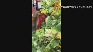 中国　白菜を発がん性指摘のホルムアルデヒドに浸したか「鮮度保つため」| TBS CROSS DIG with Bloomberg