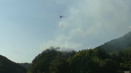 果樹園から山林に延焼「ミカンの枝を燃やしていた」 愛媛・宇和島市