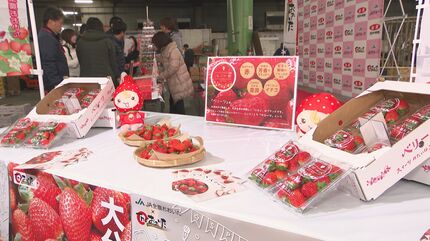 大分いちご旬入り宣言 ベリーツ1箱27万円の高値も 出荷量増加へ | 大分