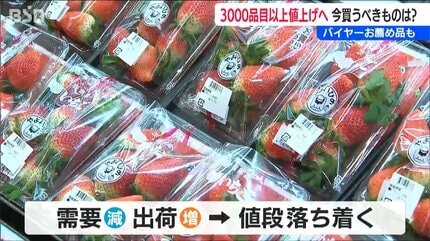 今年も値上げラッシュ「今お買い得な食材は？」年明けのスーパーで聞き
