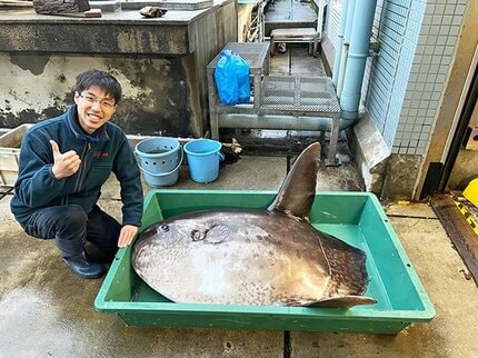 新潟市の海で『ヤリマンボウ』漂着 ⇒ 状態も良く“冷蔵標本”として