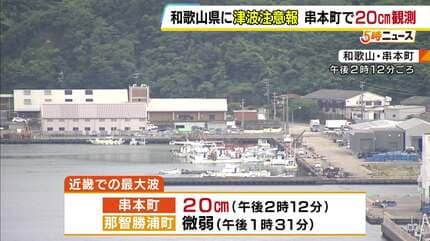 うり坊様確認用 和歌山県にも一時「津波注意報」発表 串本町で20cm観測「海に入ったり