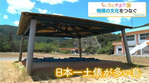 “日本一土俵の多い島”相撲がつなぐ奄美の伝統と文化【ちいきのチカラ(30)】　|　鹿児島のニュース｜MBC NEWS｜南日本放送