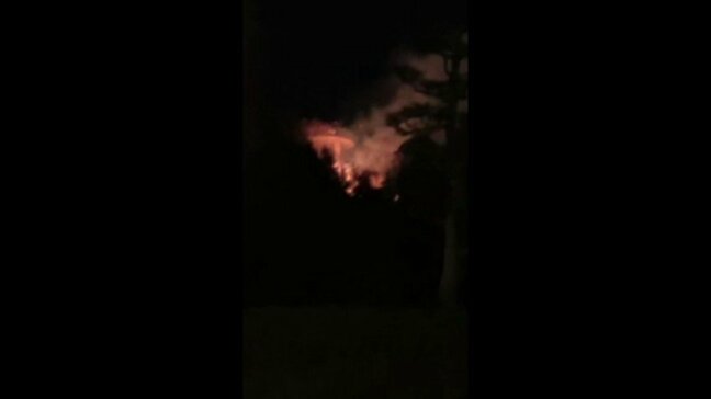 道後公園で木や枯れ草が焼ける火事  消防「延焼をいち早く食い止められた」 現場周辺には火の気無し |TBS NEWS DIG