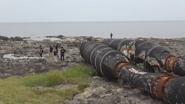 まるで観光地⁉ 海岸に漂着した巨大ホース 県内外から大勢の見物客が訪問 石川・志賀町|TBS NEWS DIG