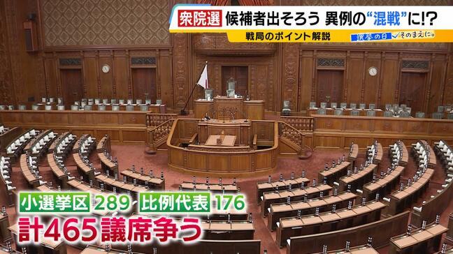 中道結成で"公明票"どう動く?『兵庫8区』と『大阪5区』に注目 一方全国80超の選挙区で"与党同士"の争い【衆議院選挙】|TBS NEWS DIG