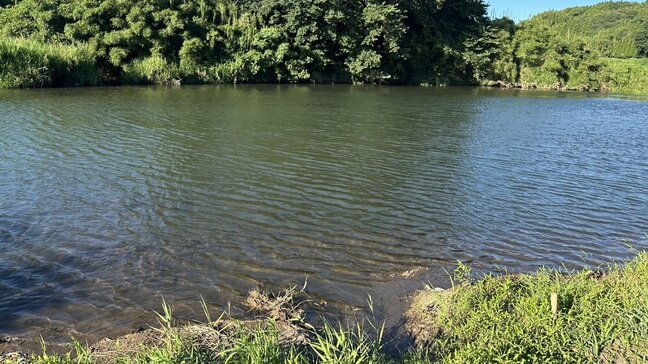 【速報】川遊び中の少年が溺れ 意識ない状態で発見　友人が通報し病院搬送　最深部は7メートルとも　熊本・菊池川|TBS NEWS DIG