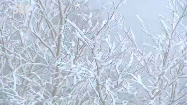 志賀高原の横手山では雪　長野県内26の観測地点で今季最低に　各地で寒い朝|TBS NEWS DIG