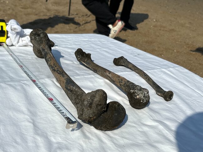 海底事故犠牲者の“遺骨”か?ダイバーが発見「遺族にとって記念すべき日」183人犠牲の長生炭鉱で(山口・宇部)|TBS NEWS DIG