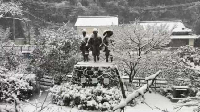愛媛・大洲市の山間部は一面の銀世界に 3日昼前にかけて山地を中心に大雪 平地でも積雪のおそれ|TBS NEWS DIG