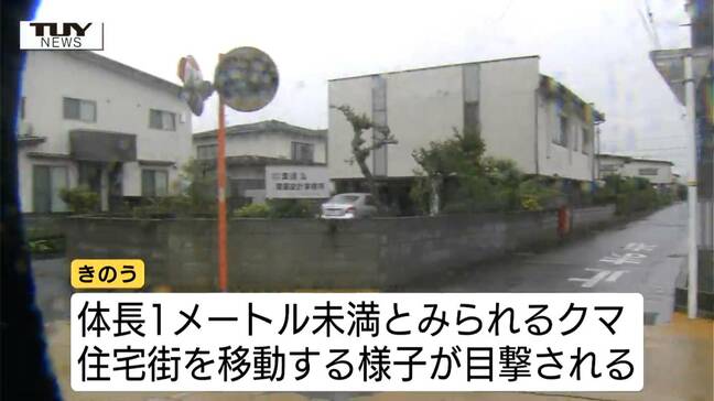 警戒続く…天童市の住宅街で相次ぐクマの目撃 箱ワナで捕獲試みるも行方をくらます(山形)|TBS NEWS DIG
