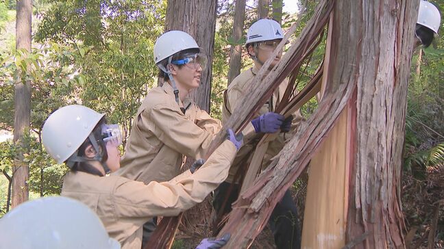 工業高校の生徒が卒業制作用の木材を自分たちで間伐　3年間のプロジェクトの第一歩がスタート|TBS NEWS DIG