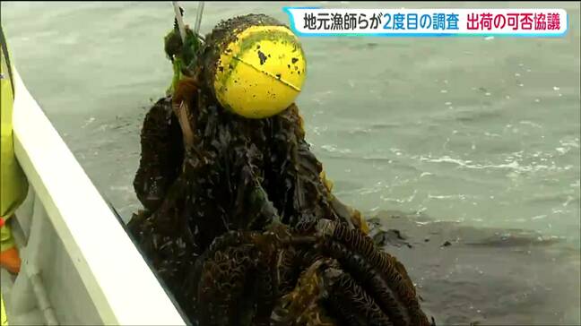 宮城海保の巡視船から重油流れ「あすからどうやって生活していけば」漁師らが2度目の調査　宮城・塩釜市|TBS NEWS DIG