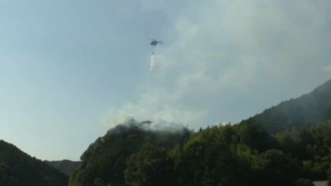 宇和島市で山林火災　ミカンの枝を燃やしていたところ延焼か【愛媛県】　|　愛媛のニュース - Nスタえひめ｜あいテレビは6チャンネル