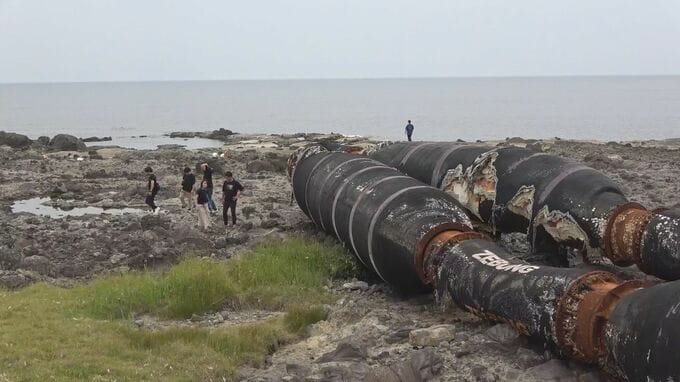 まるで観光地⁉ 海岸に漂着した巨大ホース 県内外から大勢の見物客が訪問 石川・志賀町|TBS NEWS DIG