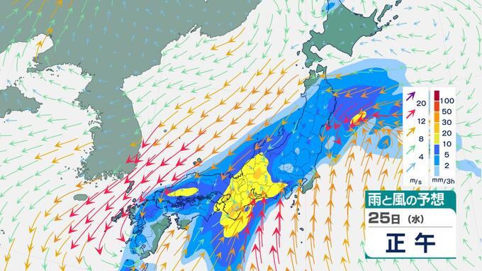 【雨情報】25日(水)は全国的に本降りへ　少雨解消の期待の一方で「荒天」への備えを　南岸低気圧が続々通過　雨風シミュレーション|TBS NEWS DIG