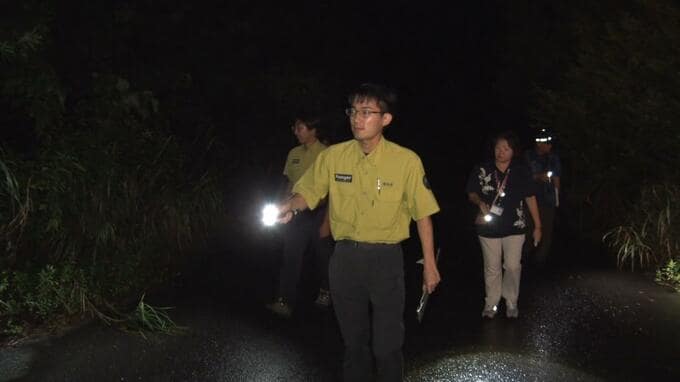 リュウキュウヤマガメなど「やんばる」の生き物たちの密猟防止へ　環境省などがパトロール強化　国頭村|TBS NEWS DIG
