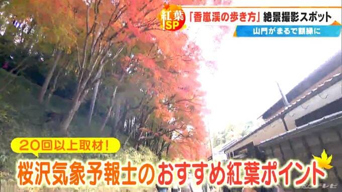 紅葉の名所｢香嵐渓｣の楽しみ方を自称“香嵐渓マニア”が徹底解説…もみじの絵馬やお守り 朝だけ見られる絶景や穴場スポットも 見頃は11月いっぱい |TBS NEWS DIG