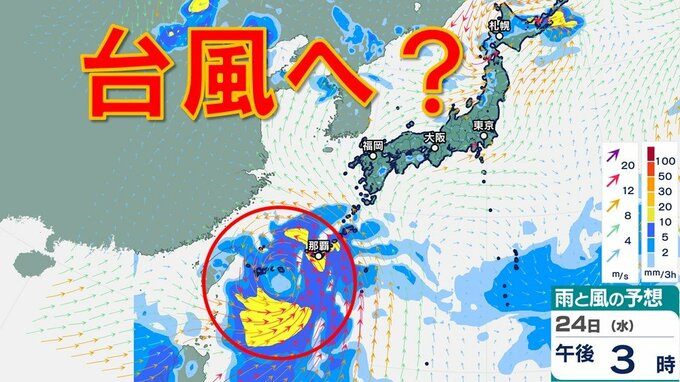 台風に？ 来週沖縄付近へ北上する予想　東シナ海を北上する可能性も　雨・風シミュレーション22日（月）～24日（水）【台風情報2024】|TBS NEWS DIG