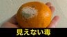 「カビた部分だけ捨てる」は誤解　中には“最強クラスの発がん性”を持つ毒も…加熱しても消えない『カビ毒』の正体　|　熊本のニュース｜RKK NEWS｜RKK熊本放送