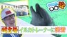 イルカトレーナーに密着「やりがいがすべて」年間1500回のパフォーマンスの舞台裏　本州最北の水族館【先川部長のわっち!!〇〇部】青森・浅虫水族館　|　青森のニュース│ATV NEWS│青森テレビ