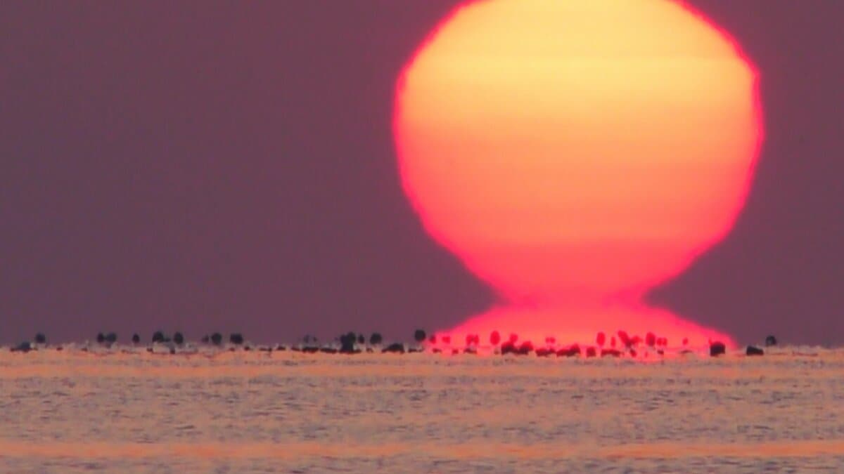 img_5a25da02d9d23f14a8688ee00b