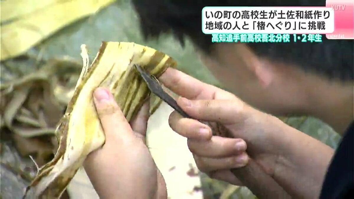高校生たちが土佐和紙づくり　地域の人と「楮へぐり」に挑戦　高知追手前高校吾北分校１・２年生
