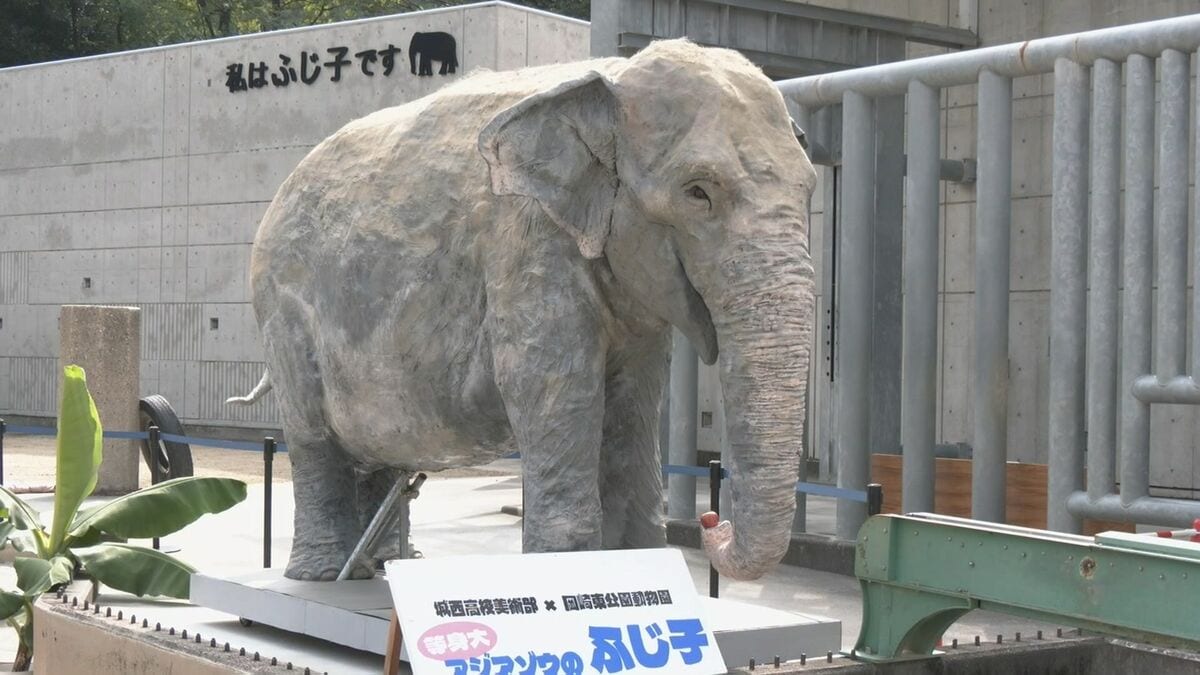 「立派なものを･･･嬉しい」43年間愛されたゾウのふじ子をしのぶ　等身大像や剥製を展示　愛知・岡崎市　東公園動物園