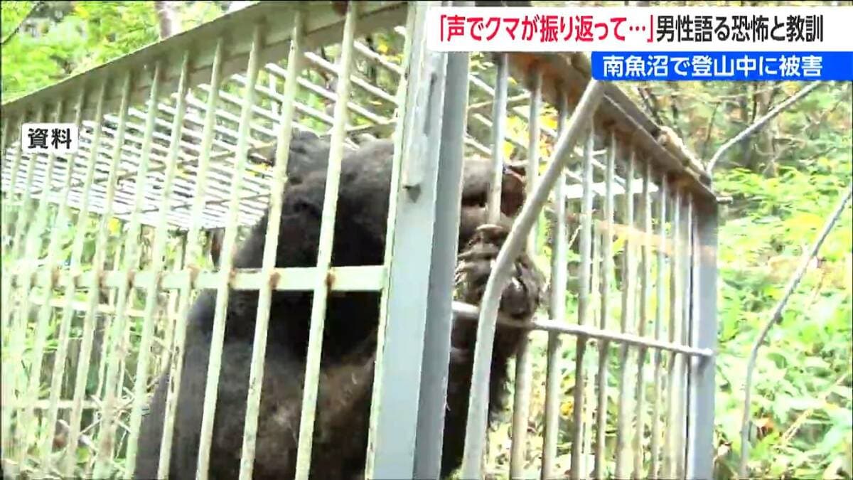 サムネイル_5m先に発見「あ、クマだ」 叫ぶと声に反応し一瞬で襲撃…  被害男性が語る恐怖と“命を守る準備”   新潟