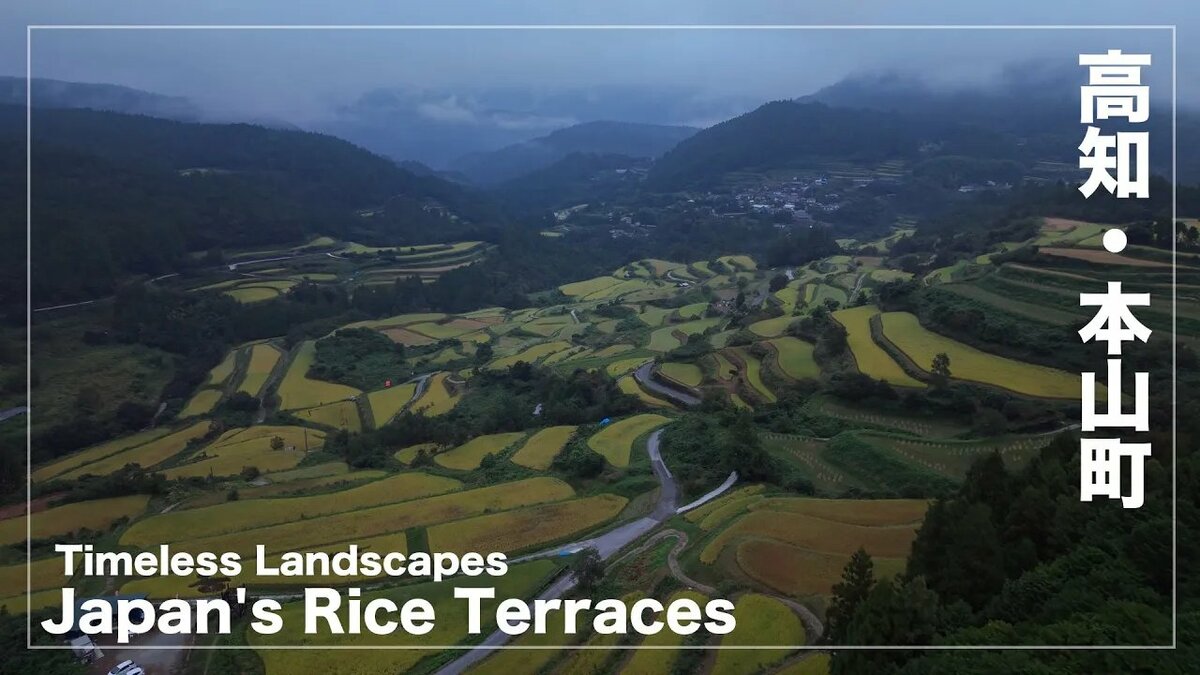 【空から見る高知】本山町の棚田　Japan's Rice Terraces　Timeless Landscapes
