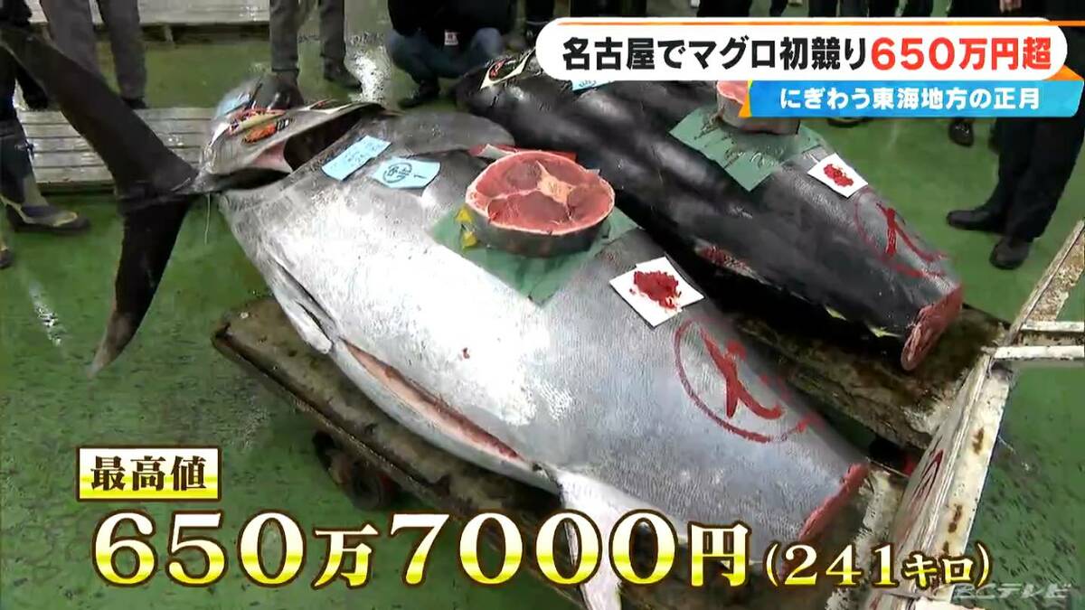 241キロ 青森県大間産のクロマグロが650万7000円で“最高値”に 中央卸売市場で初競り 最高値のマグロはバローで販売