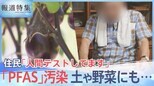 「情報公開の在り方に疑問」“有害性指摘”の化学物質・PFASが米軍横田基地で漏出も…日本に“報告ナシ”【報道特集】|TBS NEWS DIG