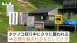 タケノコ採り中にクマが左腕をガブリ クマスプレーで命拾い 鶴岡市で男性がケガ…近くでクマ出没相次ぐ 米沢市の高校では新たなクマ対策始まる(山形)|TBS NEWS DIG