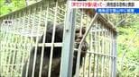 5m先に発見「あ、クマだ」 叫ぶと声に反応し一瞬で襲撃…  被害男性が語る恐怖と“命を守る準備”   新潟　|　新潟のニュース・天気｜BSN NEWS｜BSN新潟放送