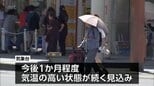 九州南部で厳しい暑さ続く見込み 気象台「今後1か月程度気温の高い状態が続く」と注意呼びかけ|TBS NEWS DIG