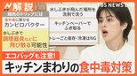 食中毒対策 とけたアイスは再冷凍NG?お肉のトレーにも、エコバッグにも、水筒にも、危険が潜む【Nスタ解説】|TBS NEWS DIG