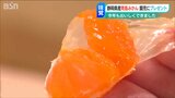 「自信を持って皆さんへお届けできる」静岡の青島みかんを新潟の園児にプレゼント | 新潟のニュース・天気|BSN NEWS|BSN新潟放送
