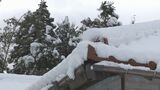 強い寒気 山口市徳佐では16センチの積雪 路面の凍結などに注意|TBS NEWS DIG