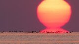 富山湾に現れた「だるま太陽」の神秘 カメラマンが3分間の奇跡を撮影!ゴールデンウイーク中も見られるかも⁉|TBS NEWS DIG