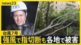 ディズニーは“前倒し”閉園、サマソニ前夜祭は“予定通り”開催　台風7号が関東に接近　お盆直撃でフライトは約12万人に影響【news23】|TBS NEWS DIG