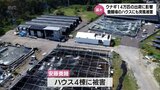 「どうしようかなと絶望している」ウナギ約14万匹の出荷に影響も 養鰻場で養殖用のハウスが倒壊 台風10号の突風被害 | MRTニュース | MRT宮崎放送