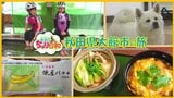 【自転車の旅】神社の“足湯”でポカポカ、創業約100年老舗の“バナナ最中”に舌鼓(秋田県大館市) | 青森のニュース│ATV NEWS│青森テレビ