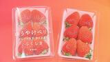 【解説】とちおとめ、あまおう…全国に300品種「ゆうやけベリー」はイチゴ戦国時代を勝ち抜けるのか！？　|　福島のニュース│TUF
