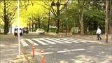 「全国で1番停まる県はどこ?停まらないのはどこ?」信号機のない横断歩道での車の一時停止率 4年前は最下位だった宮城県7割超えで6位に【全国ランキング掲載】 | 宮城のニュース│tbc NEWS│tbc東北放送