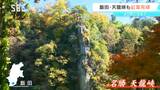 「川と紅葉がマッチしている」飯田市の観光名所・天龍峡の紅葉が見ごろに 長野 | SBC NEWS | 長野のニュース | SBC信越放送