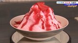 猛暑!暑い夏到来!この夏食べたい ひんやり冷たいかき氷の新定番をイッキにご紹介!|TBS NEWS DIG